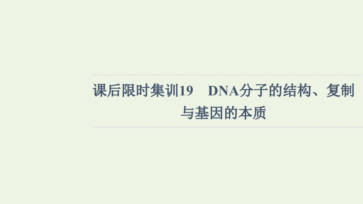 2022版高考生物一轮复习课后集训19DNA分子的结构复制与基因的本质课件