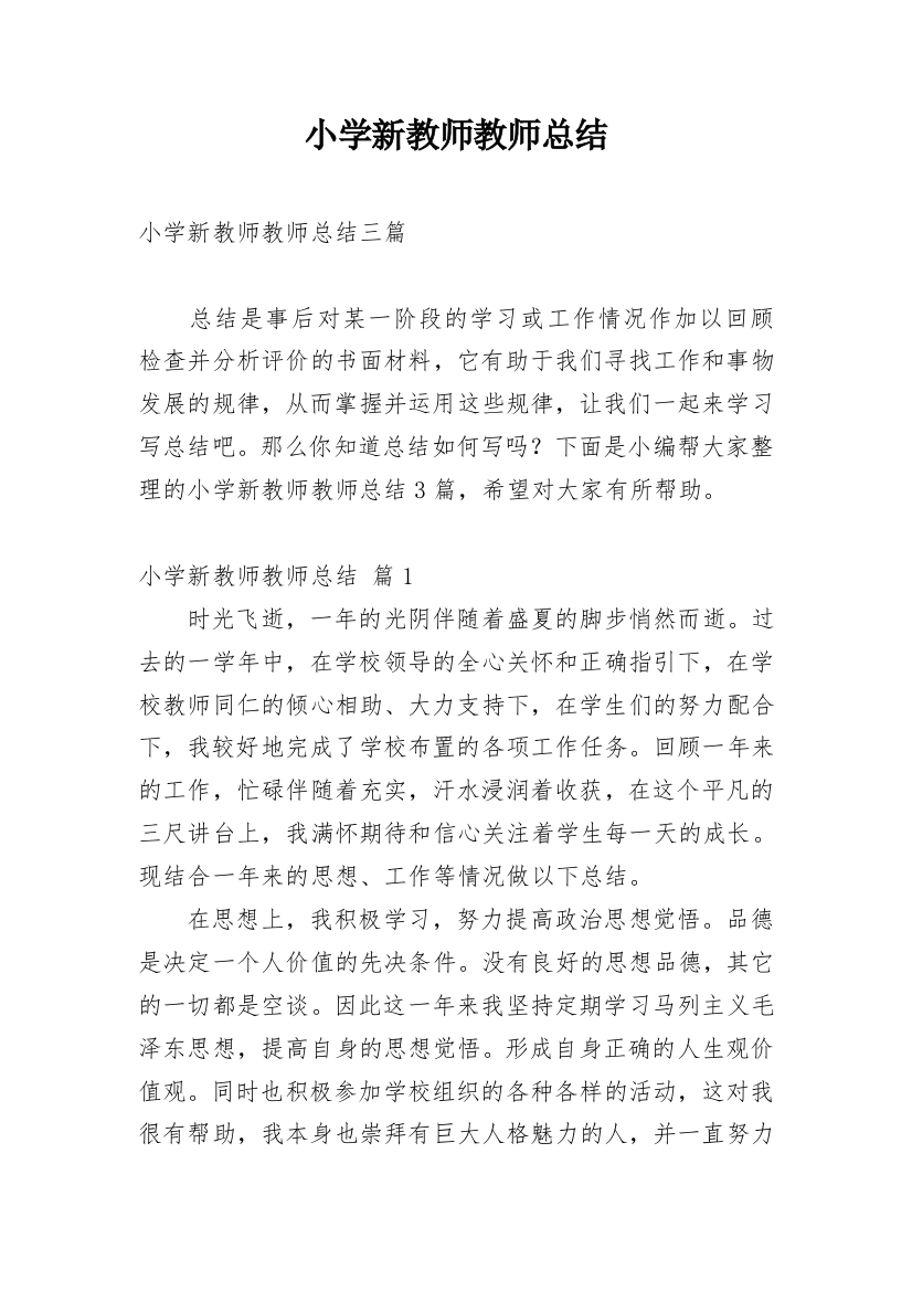 小学新教师教师总结