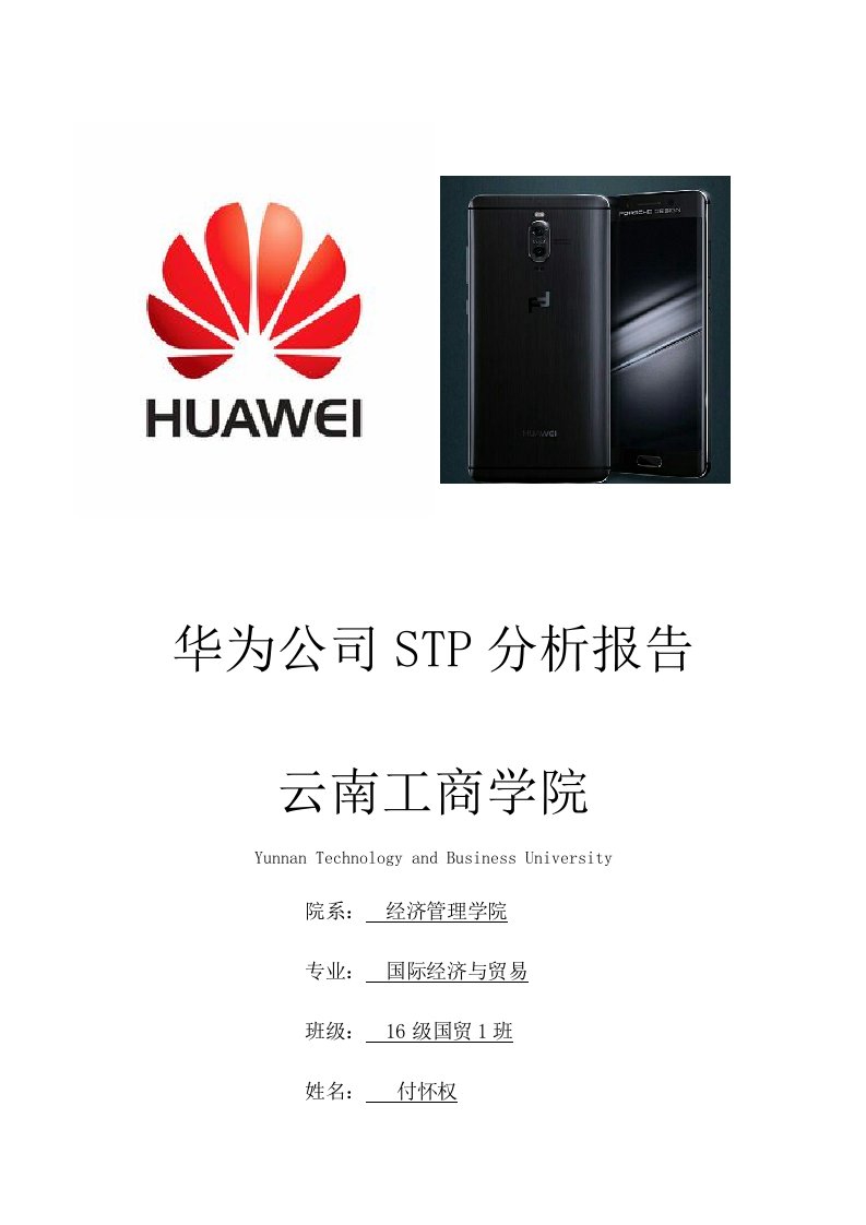 华为公司STP分析报告