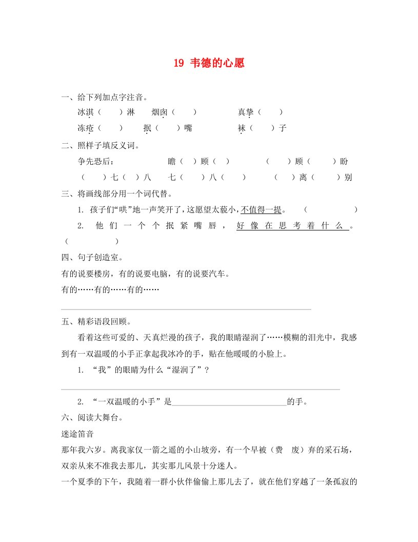 19韦德的心愿练习题及答案