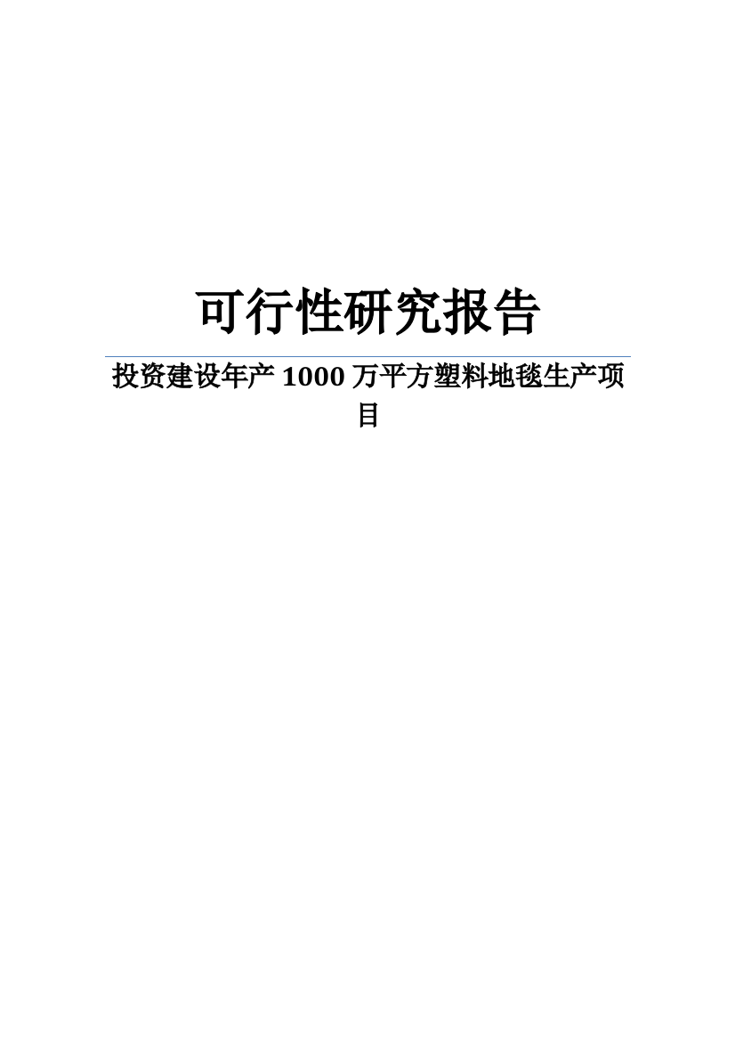 某塑料制品公司投资建设塑料地毯生产建设项目可研报告