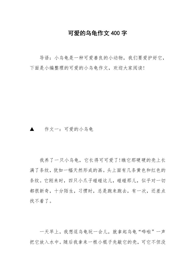 可爱的乌龟作文400字