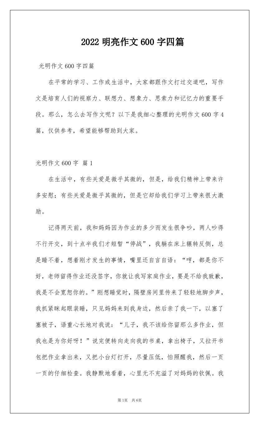 2022明亮作文600字四篇