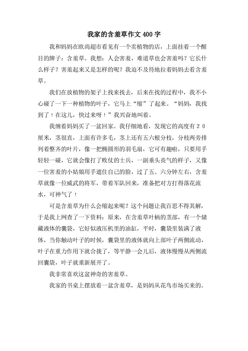 我家的含羞草作文400字