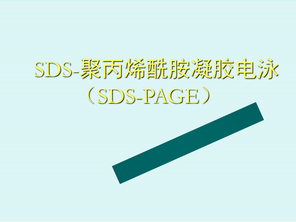 SDS-PAGE蛋白凝胶电泳