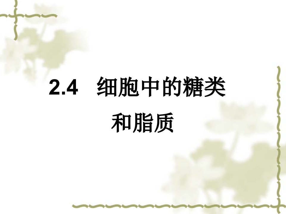 细胞中的糖类和脂质——王艳辉