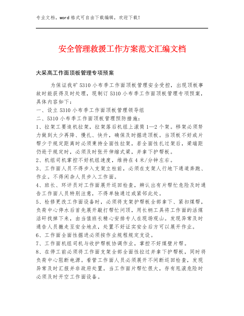 安全管理救援工作方案范文汇编文档