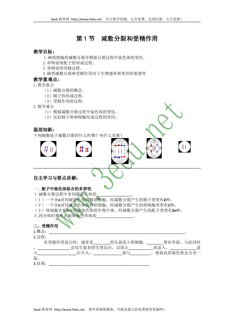 高一生物减数分裂和受精作用复习2