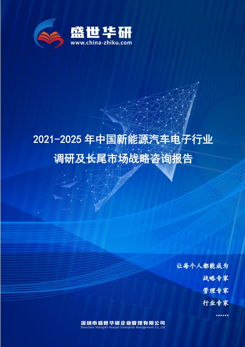 2021-2025年中国新能源汽车电子行业调研及长尾市场战略报告