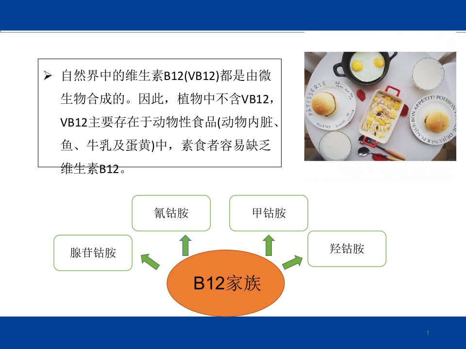 维生素B十二腺苷钴胺和甲钴胺的区别ppt课件