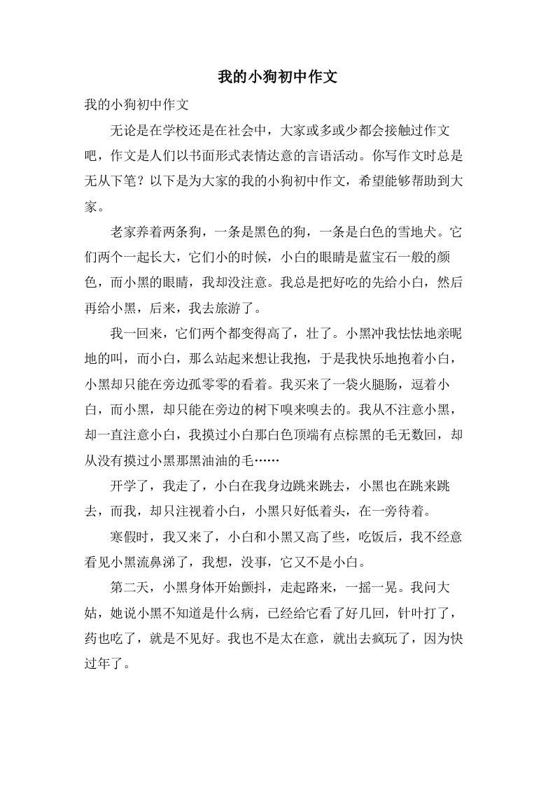 我的小狗初中作文