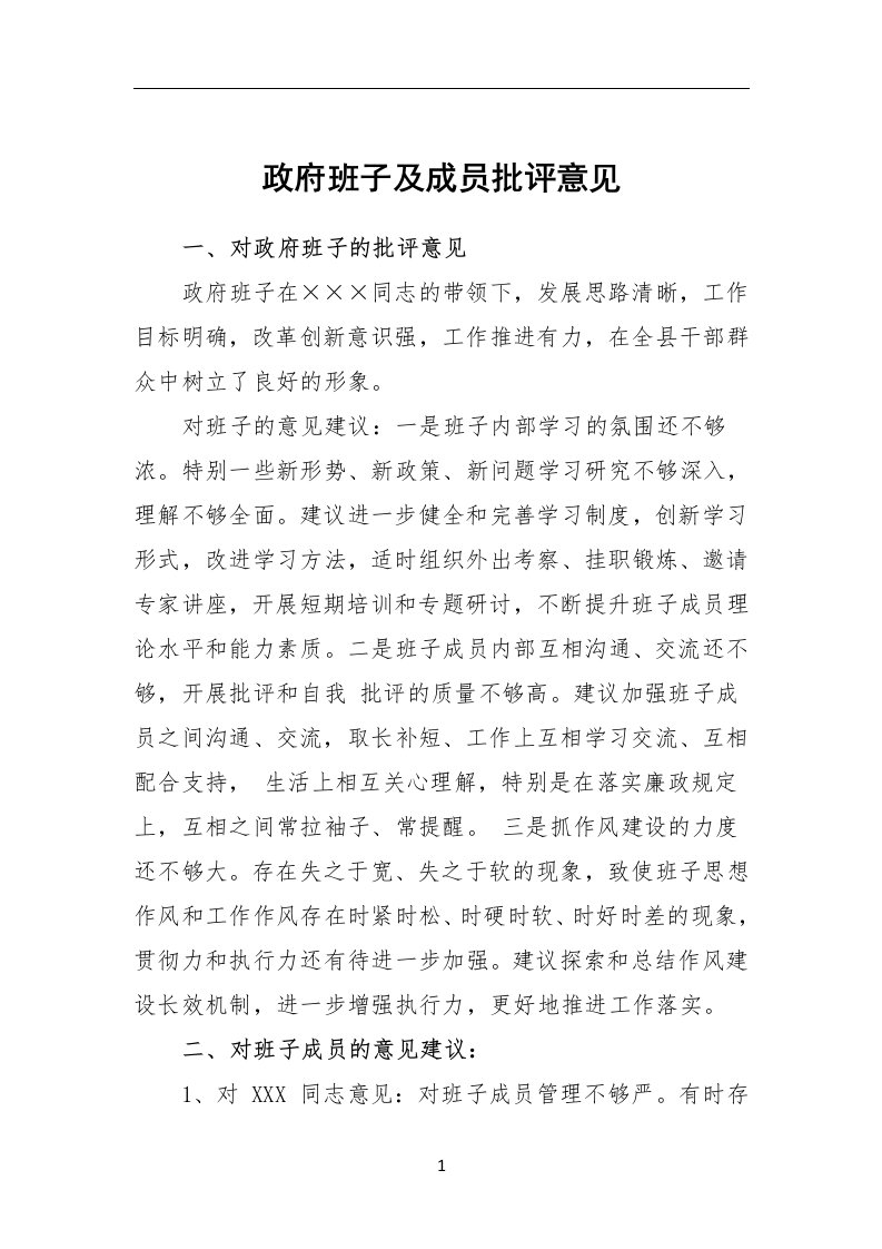 政府班子及成员批评意见