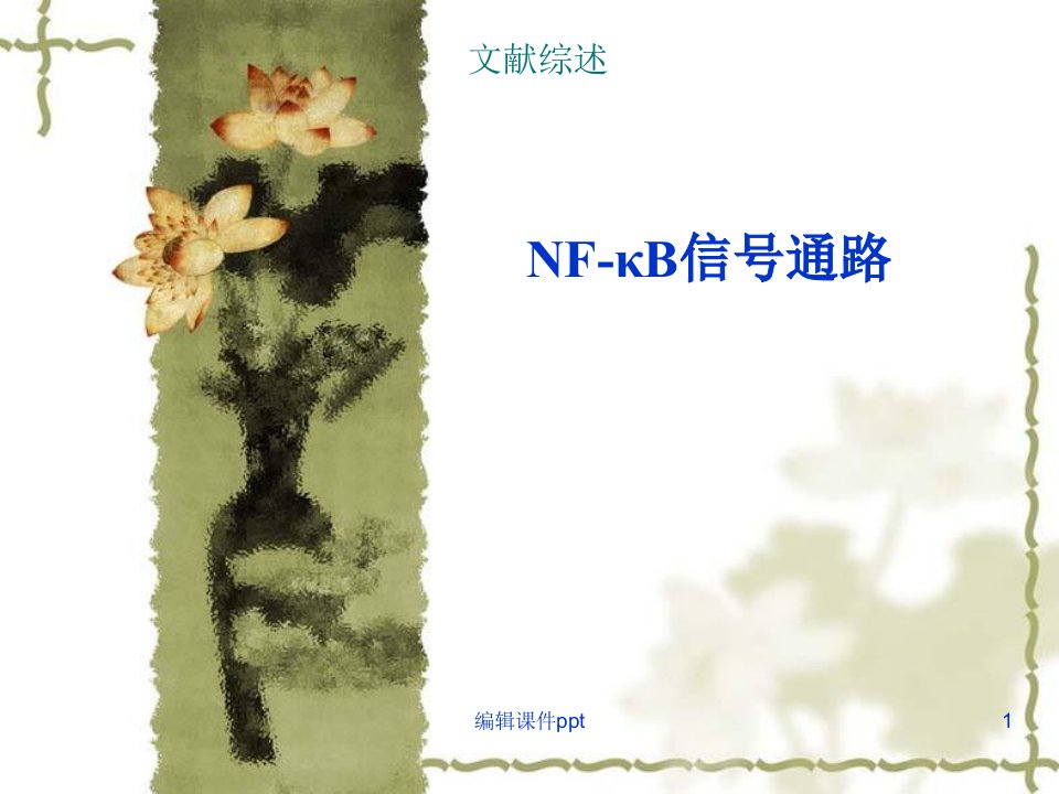 NF-KB信号通路综述