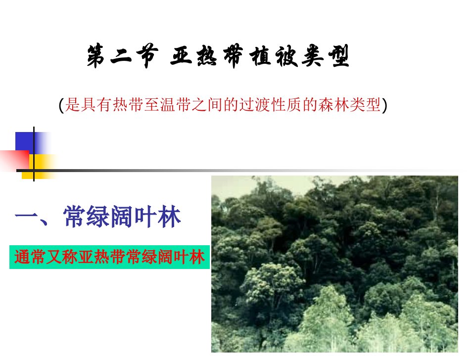 亚热带植被类型