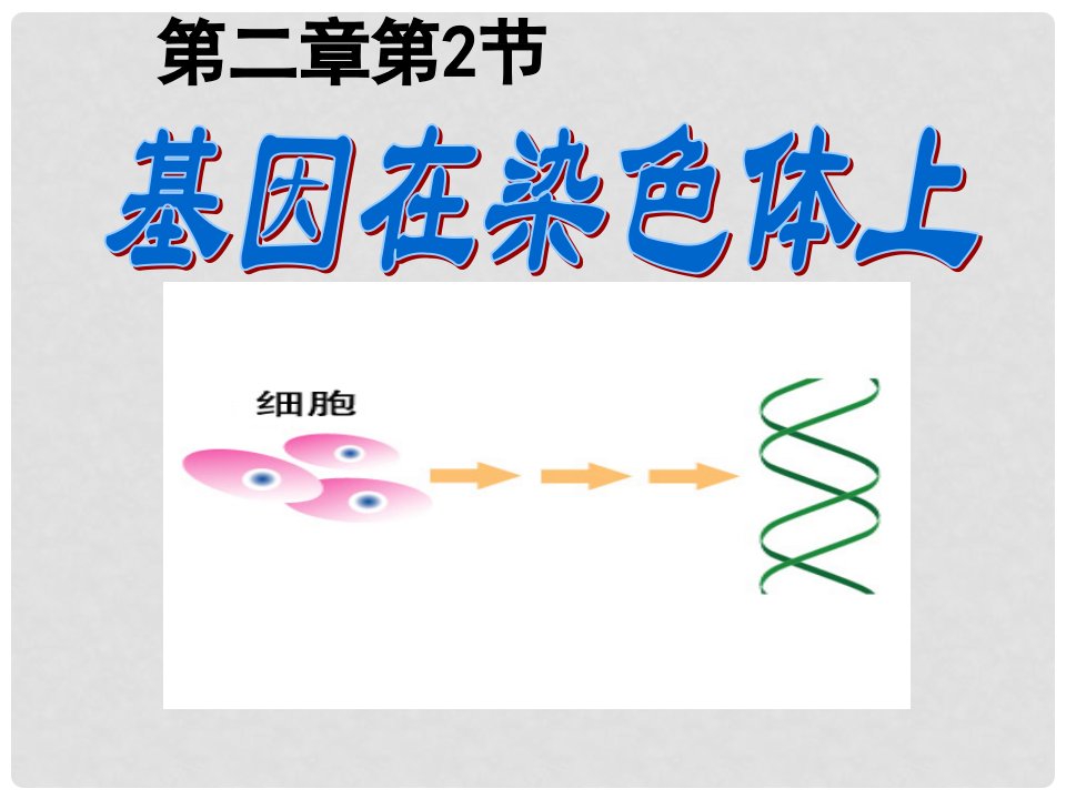 高中生物