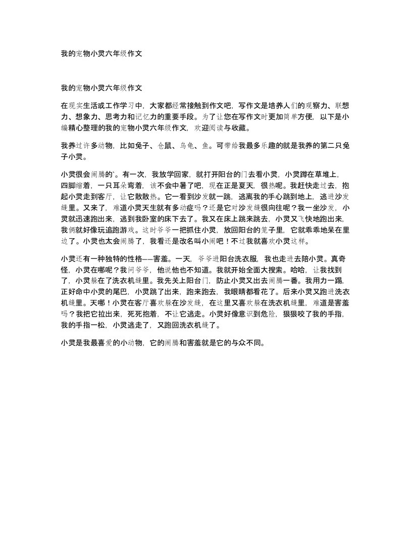 我的宠物小灵六年级作文