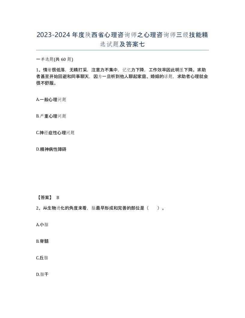 2023-2024年度陕西省心理咨询师之心理咨询师三级技能试题及答案七