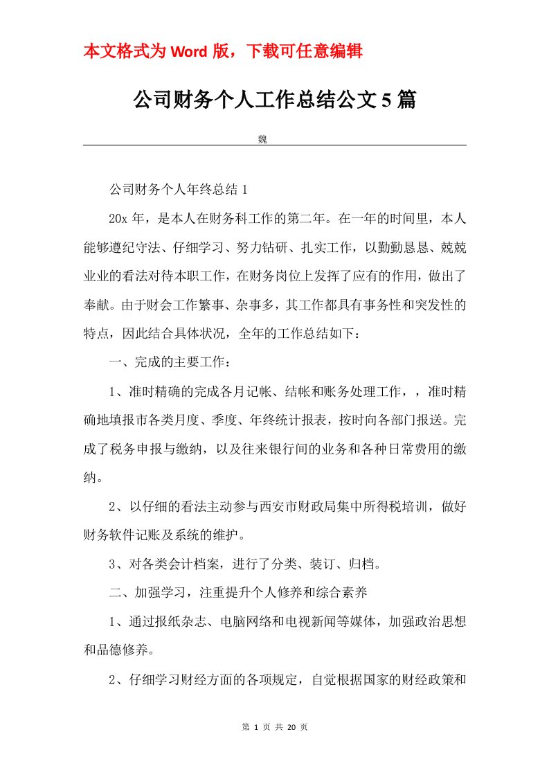 公司财务个人工作总结公文5篇