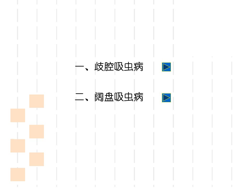 最新吸虫病歧腔吸虫2幻灯片