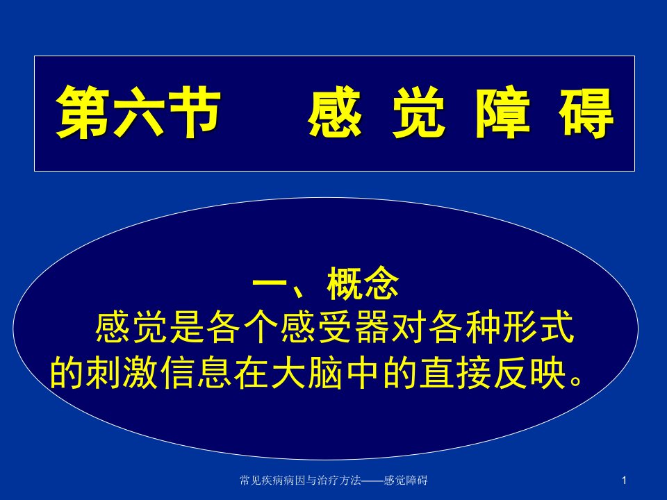 常见疾病病因与治疗方法感觉障碍课件