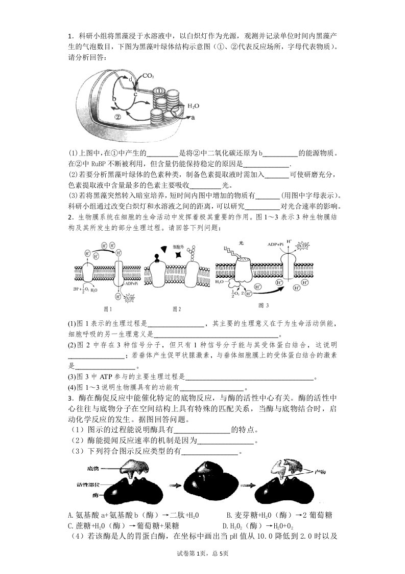 光合作用呼吸作用大题