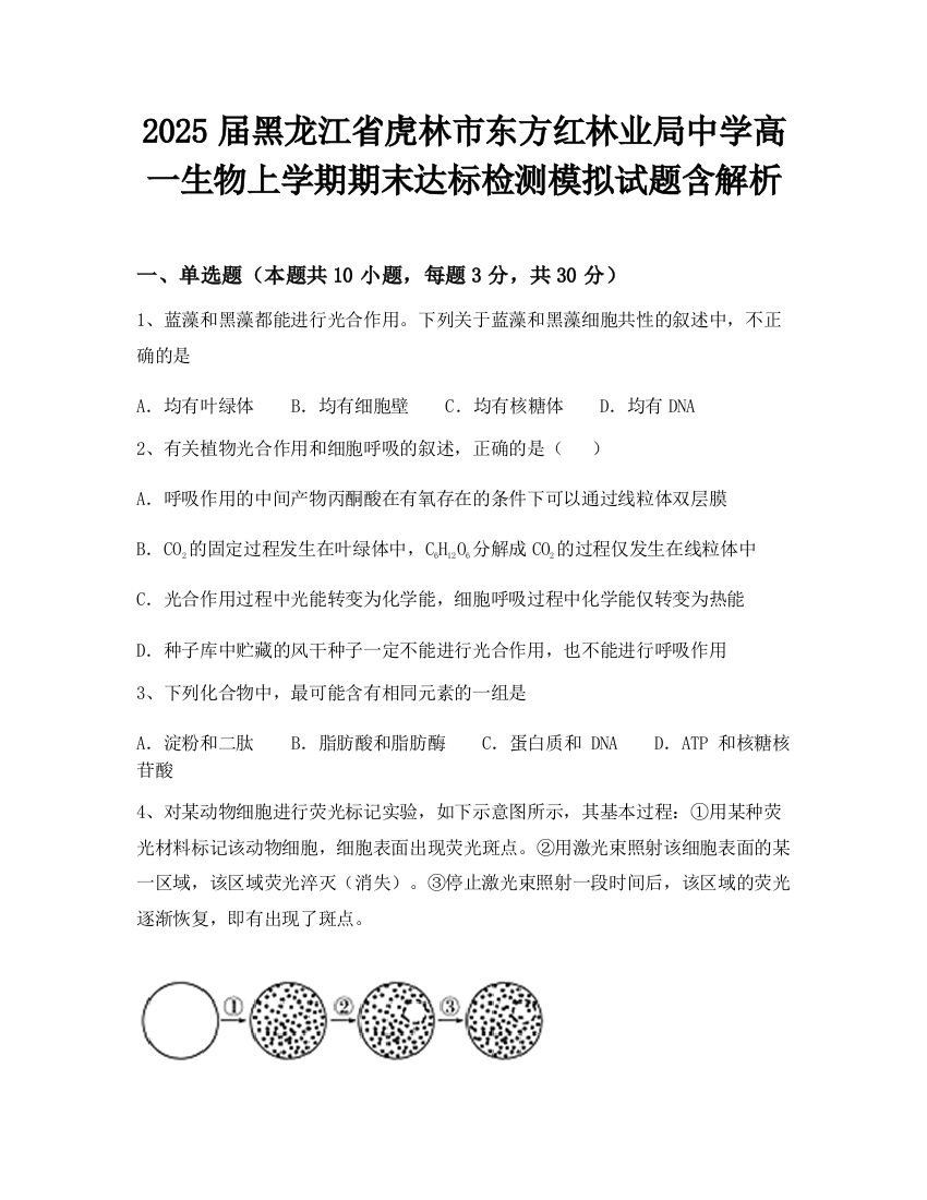 2025届黑龙江省虎林市东方红林业局中学高一生物上学期期末达标检测模拟试题含解析