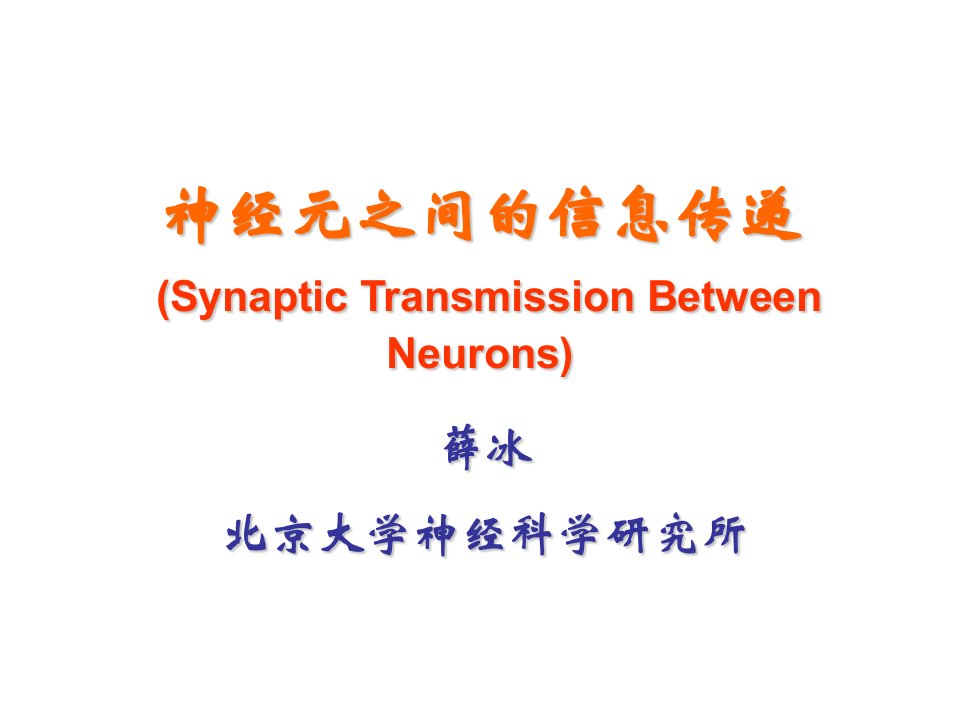 北大神经生物学课件41神经元的信息传递