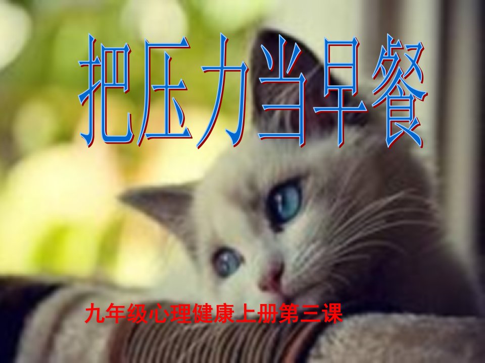 《第三课