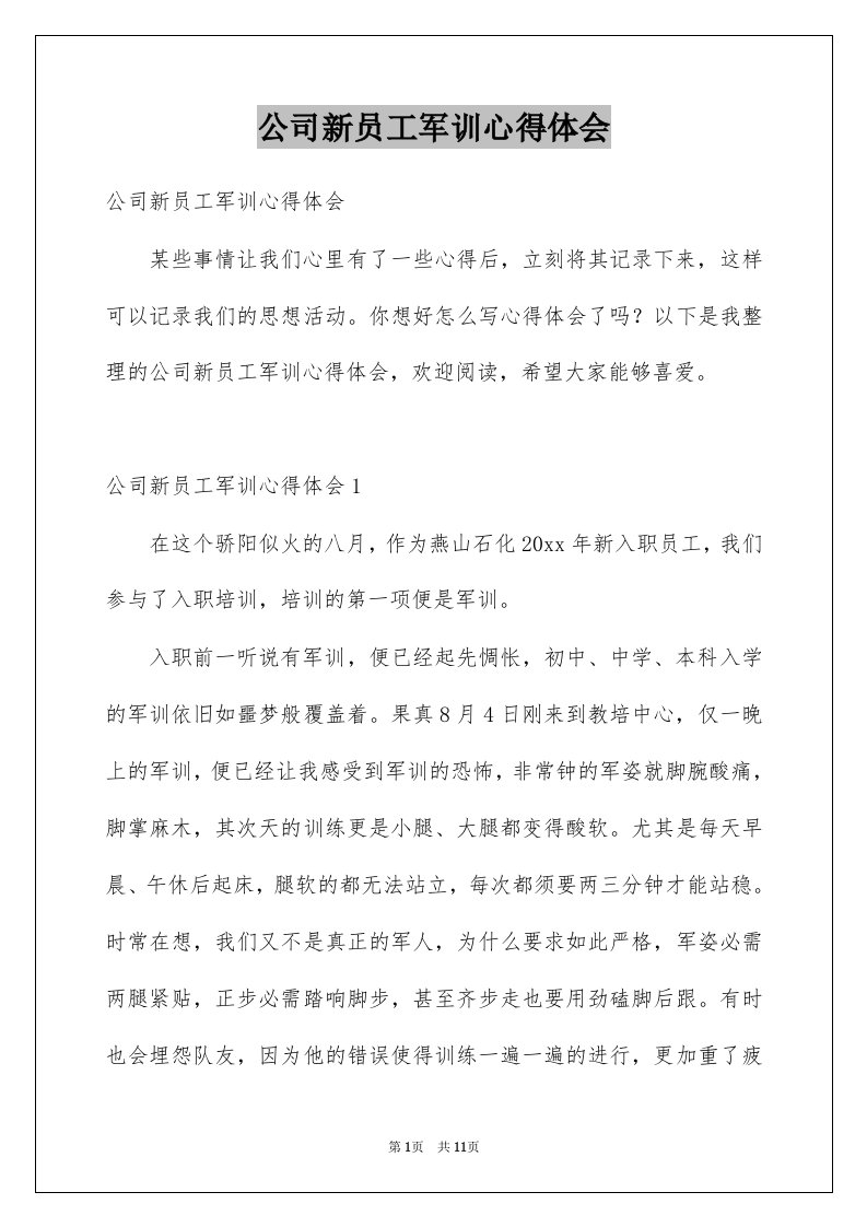 公司新员工军训心得体会例文