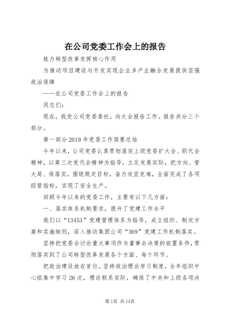 7在公司党委工作会上的报告