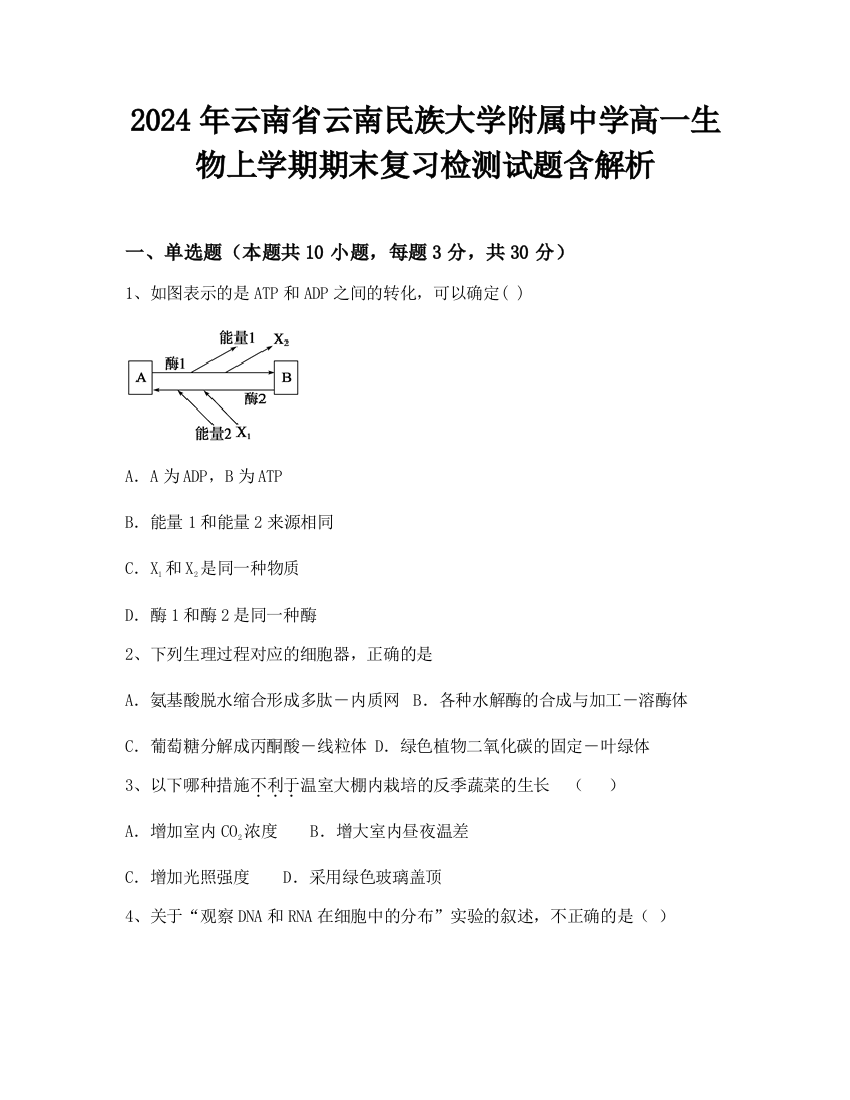 2024年云南省云南民族大学附属中学高一生物上学期期末复习检测试题含解析