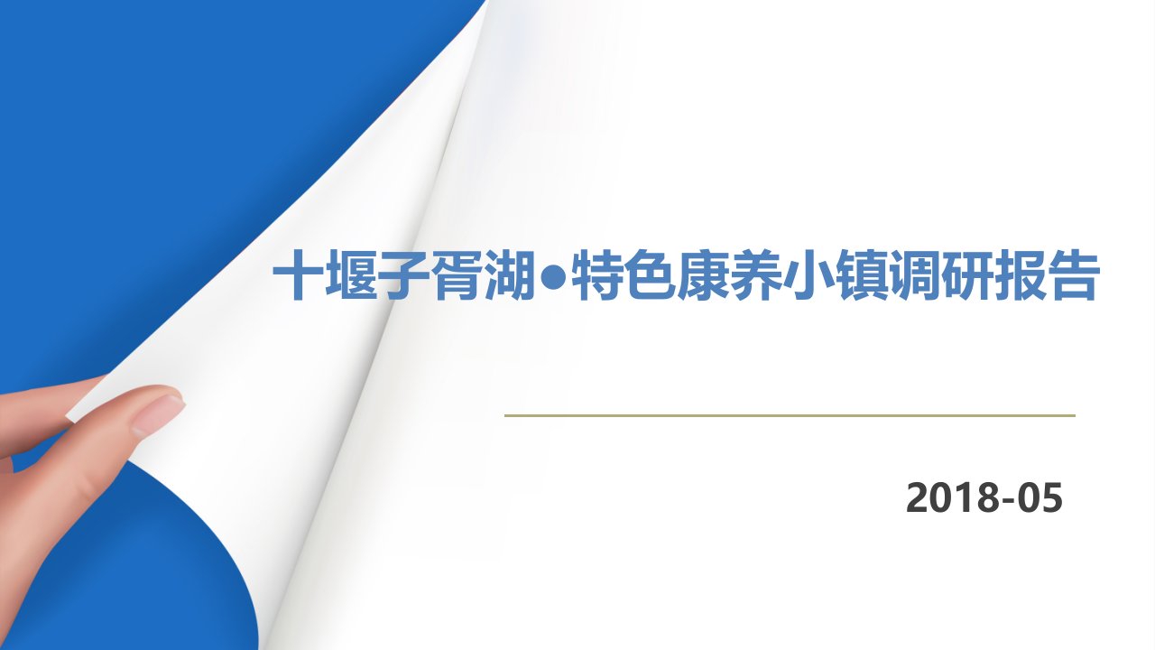 子胥湖康养小镇调研报告PPT演示课件