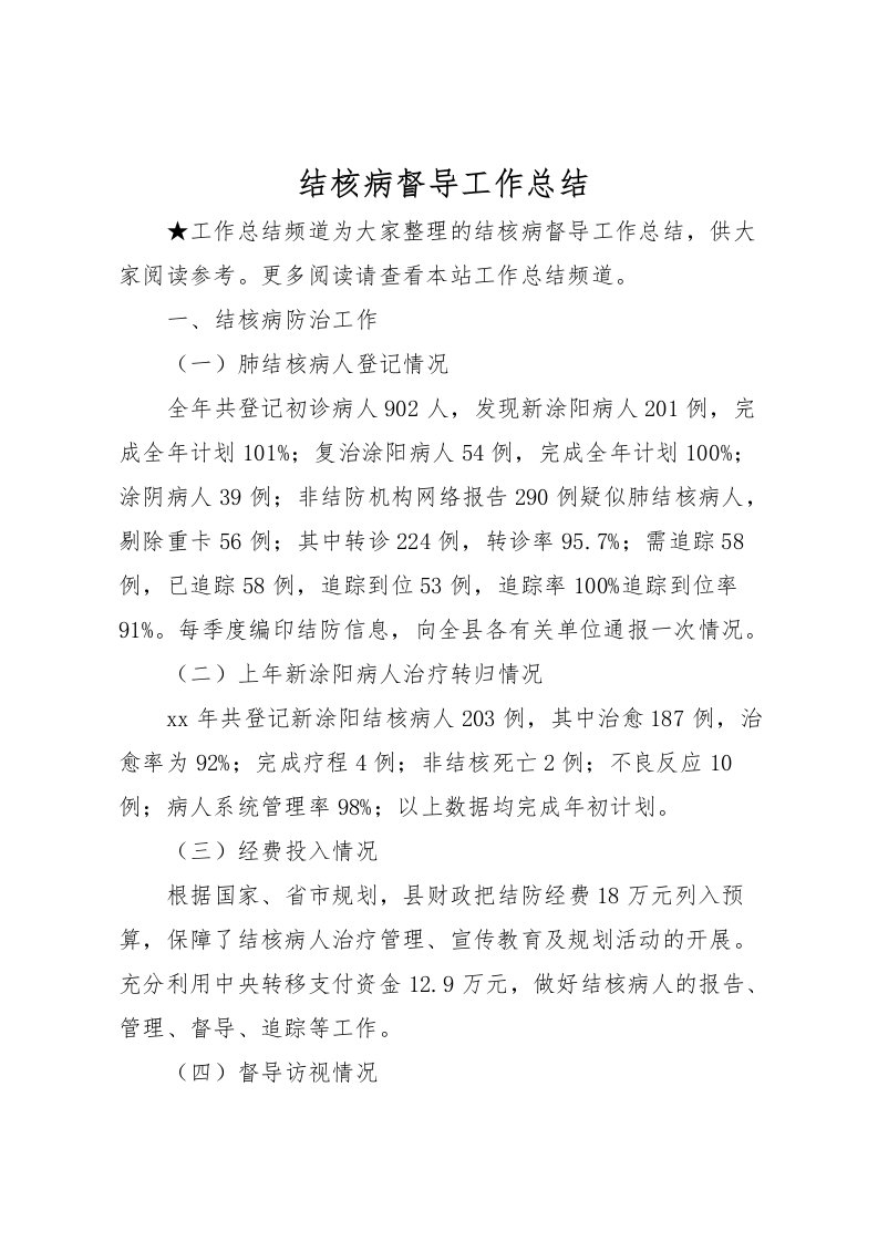 2022-结核病督导工作总结