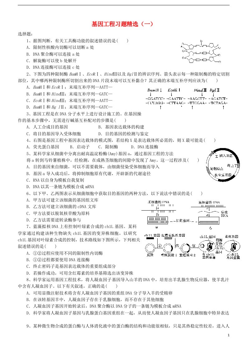 黄岛区第八中学高中生物