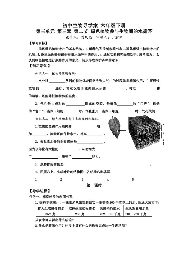 鲁科版生物六年级下册3.3.2《绿色植物参与生物圈的水循环》