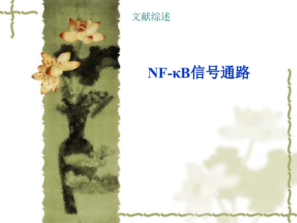 NF-KB信号通路综述29991529