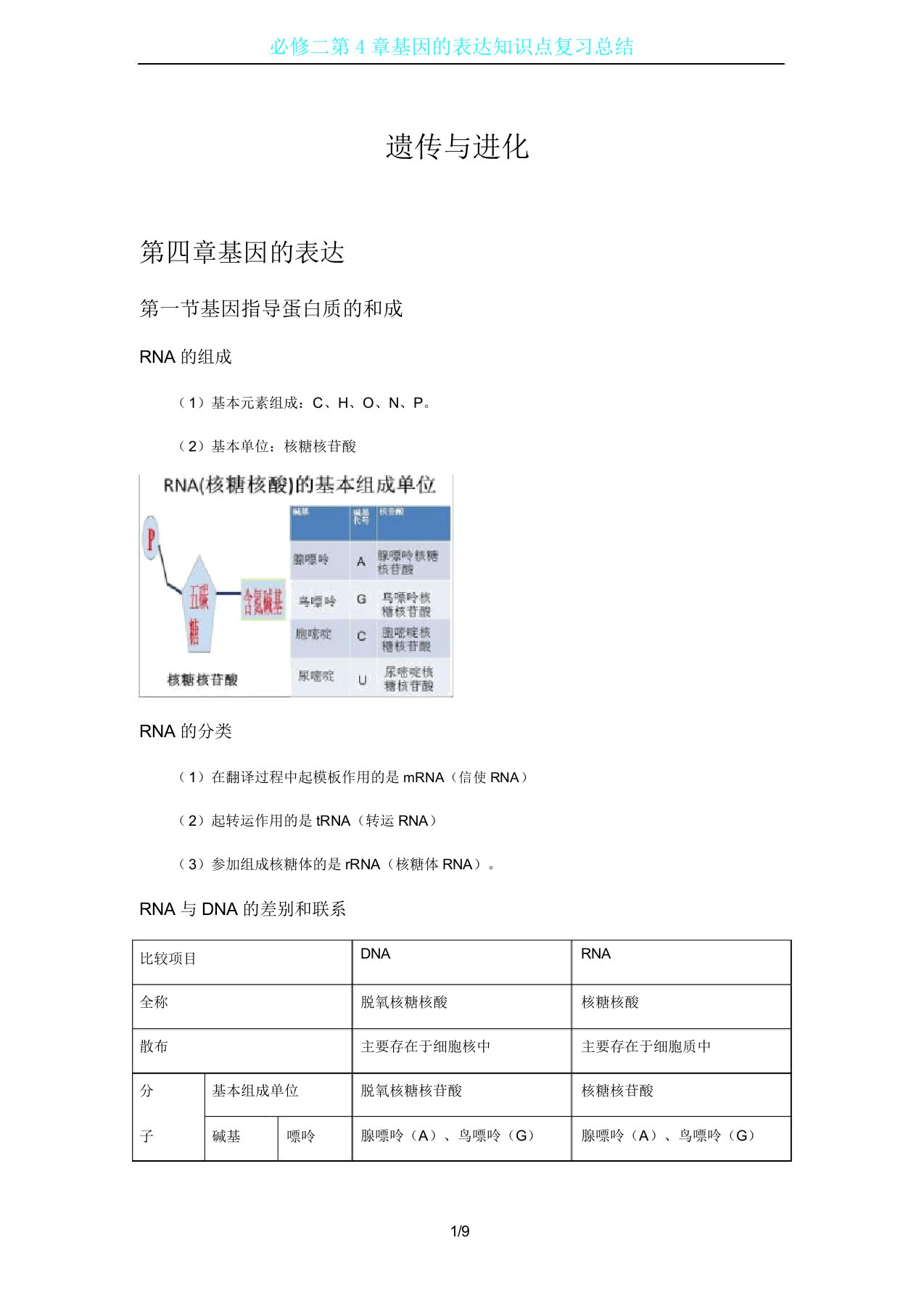 必修二第4章基因表达知识点复习文档