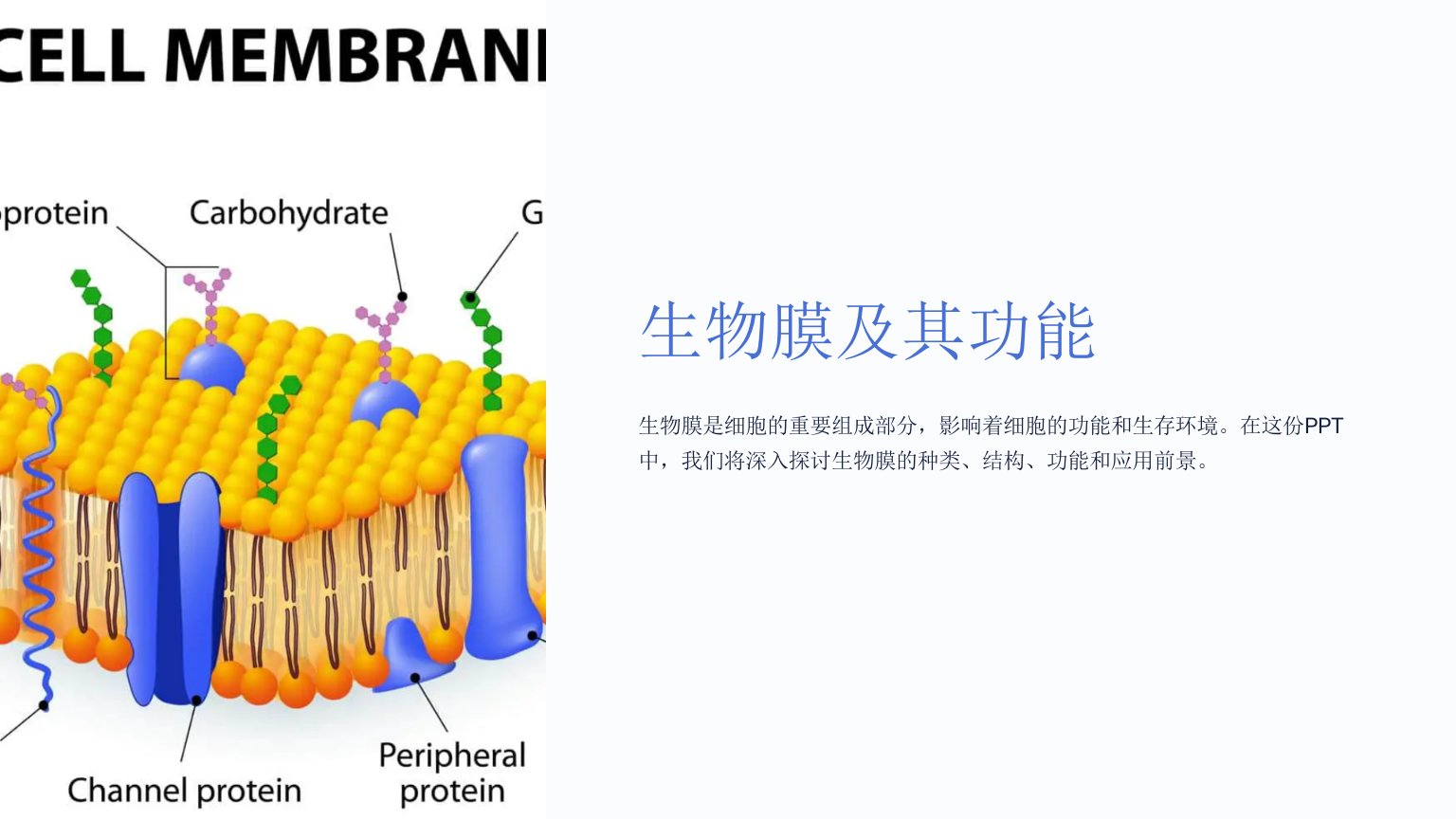 《生物膜及其功能》课件