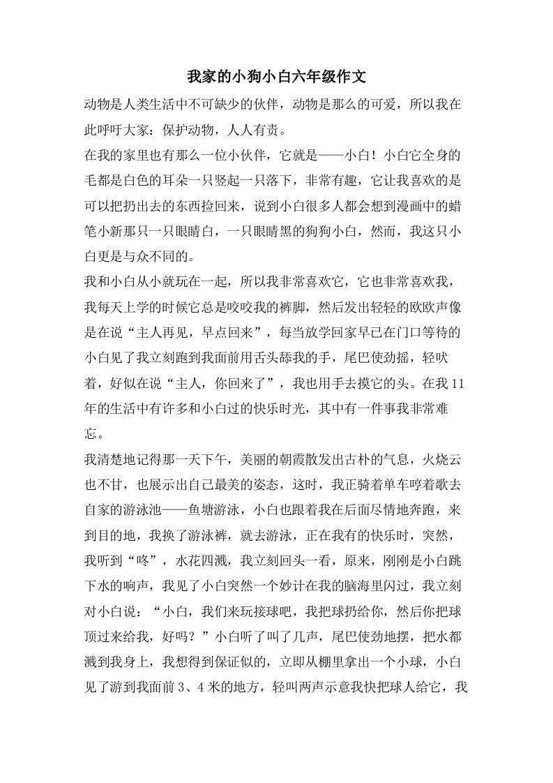 我家的小狗小白六年级作文