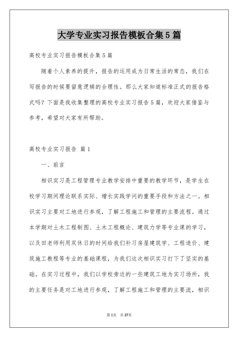 大学专业实习报告模板合集5篇