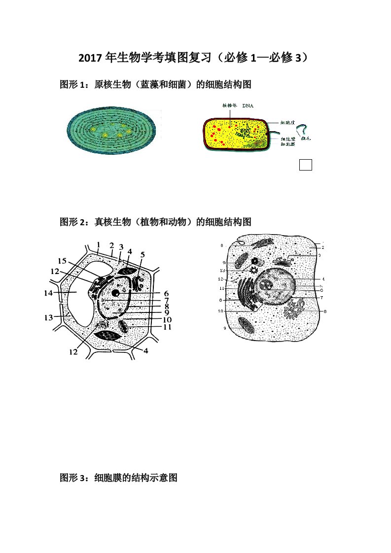 生物学考图形考察