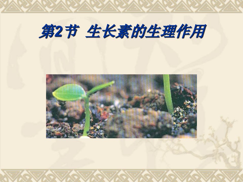 人教版教学课件生物：3.2《生长素的生理作用》课件(新人教版必修3)