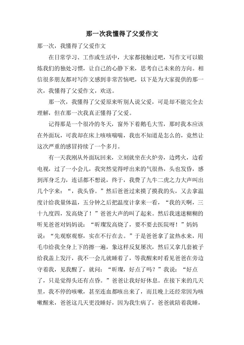 那一次我懂得了父爱作文