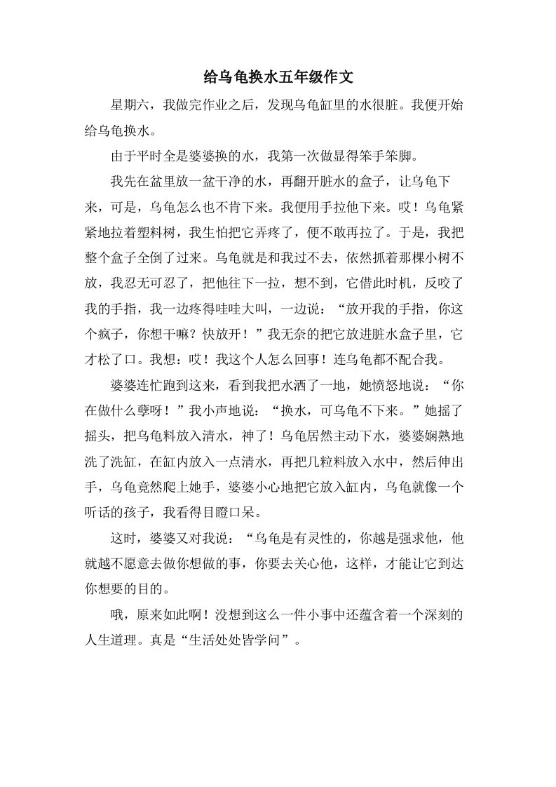 给乌龟换水五年级作文