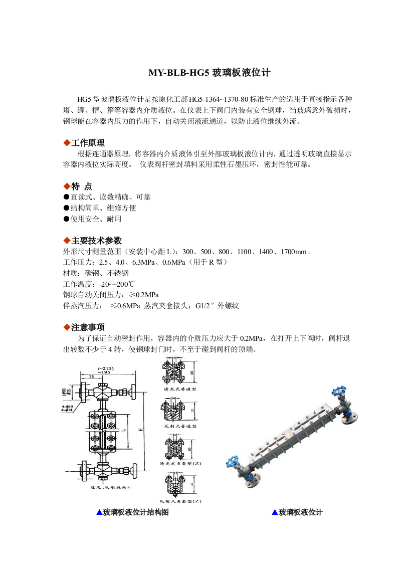 (完整版)2019年整理MY-BLB-HG5玻璃板液位计资料