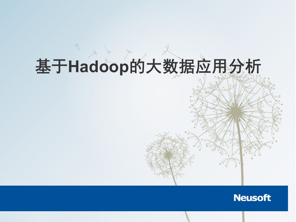 大数据应用分析(Hadoop)45