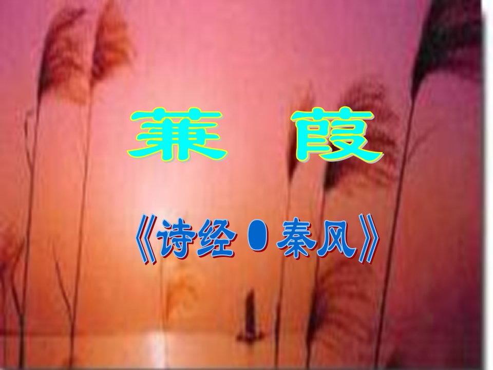 蒹葭课件