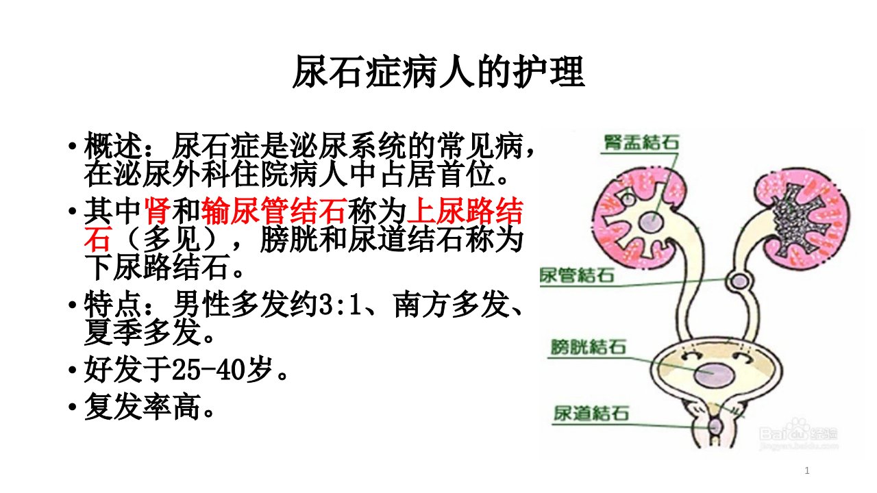 尿石症病人的护理