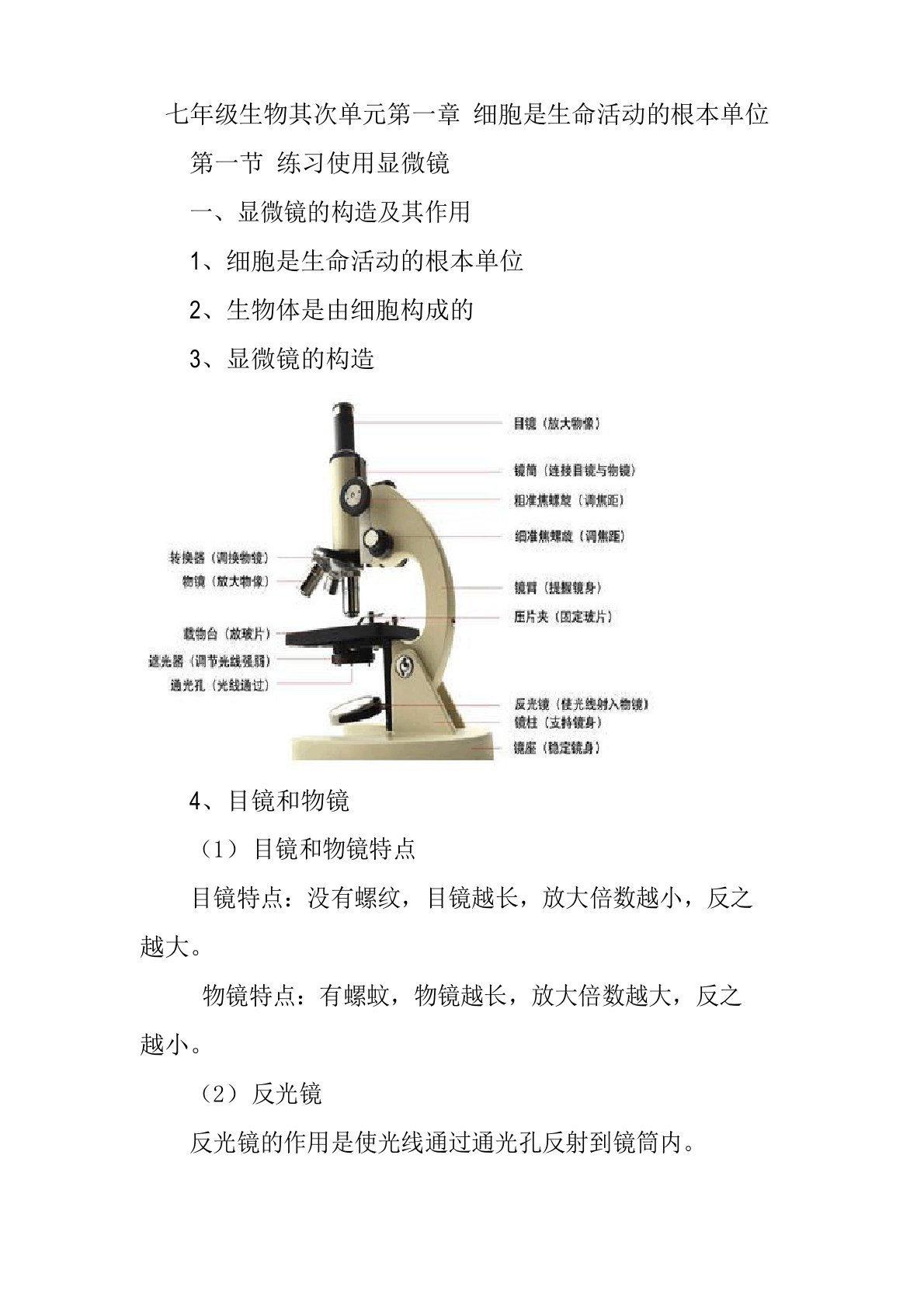 七年级上册生物第二单元细胞是生命活动的基本单位知识梳理总结