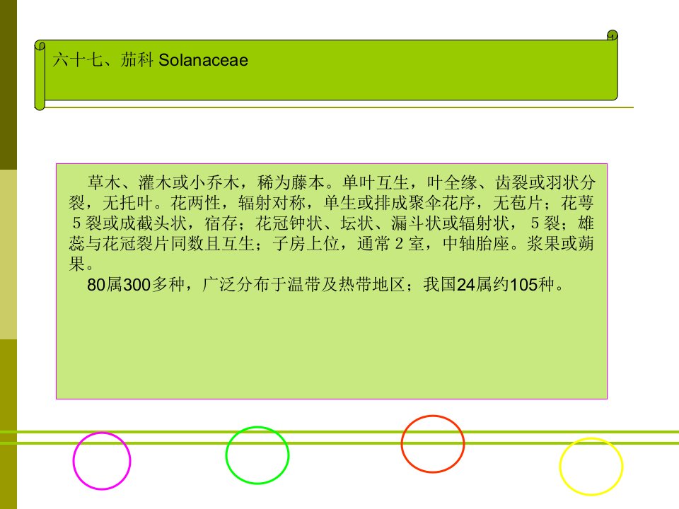 园林绿化植物(67.茄科)